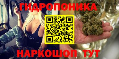 бошки Лесосибирск