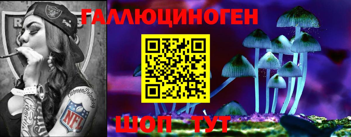 Галлюциногенные грибы Psilocybe  Вход с VPN  Усть-Илимск 