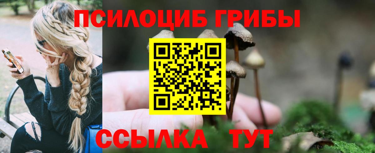 Галлюциногенные грибы ЛСД Усть-Илимск